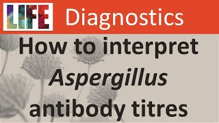 How to interpret Aspergillus antibody IgG titres for chronic aspergillosis [upl. by Lluj666]