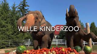 WilleKinderzoo in DürrwangenHaslach 2020  Tiere hautnah erleben [upl. by Maloney868]