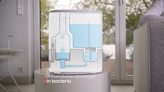 Product video LB 55 Air humidifier [upl. by Patric710]