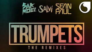 Sak Noel amp Salvi Ft Sean Paul  Trumpets Undersound Remix [upl. by Lydie]