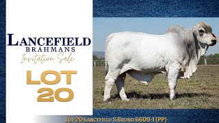 Lot 20 Lancefield S Bruno 66091 PP [upl. by Aihsyt404]