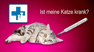 Ist meine Katze krank Versteckte Anzeichen erkennen [upl. by Nomsed]