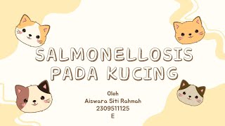 Salmonellosis pada KucingIPBJ [upl. by Halliday]