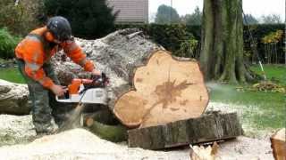 Stihl MS880 met 12 meter blad [upl. by Ardnac741]