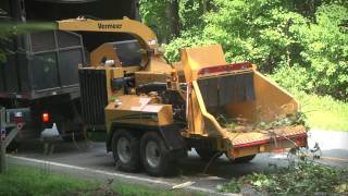 AX19 Vermeer Brush Chipper  Vermeer Tree Care Equipment [upl. by Fabian724]