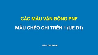 Các Mẫu Vận Động PNF Mẫu Chéo Chi trên 1 [upl. by Ecargyram]