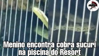 Menino acha Cobra Sucuri em piscina no Resort em Rio Quente  BiÃ³logo Henrique o BiÃ³logo das Cobras [upl. by Ecnarolf]