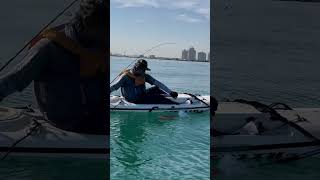 kayaking kayakfishing kayakfishinnguae stealthkayak uae fishing [upl. by Remle]