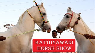 कठियावरी हॉर्स शो  KATHIYAWADI STALLION RING  SARANGKHEDA  Indian Horses [upl. by Royd]