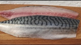 How To Fillet A MackerelAnd Cook It In Real TimeMackerel [upl. by Violette]