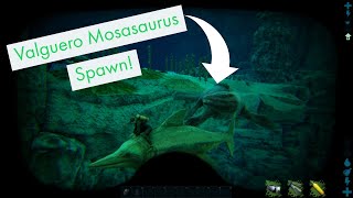 Valguero Mosasaurus Spawn [upl. by Eceerehs986]