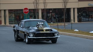 THE LOUDEST SHELBY GT500 EVER [upl. by Ellinnet]