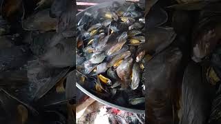 mukbang mussels asmr trendingshorts shortsfeed ytshorts fypyoutube satisfying [upl. by Amilah]