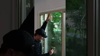 Window Film Removal amp Installation [upl. by Eelta]