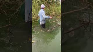 Lucky day catch fish big fishingvideo fishing fish reels shorts lucky big [upl. by Ahearn20]