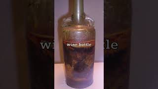 Oldest Wine Bottle in The World 🍷 [upl. by Hedva151]