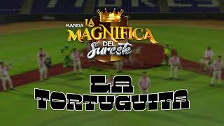 Banda La Magnífica Del Sureste  La Tortuguita Video Lyric [upl. by Cutler]