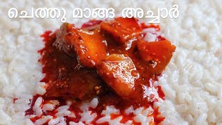 Chethu Manga Achar  Mango Pickle Kerala Style  ASMR Video [upl. by Brogle]