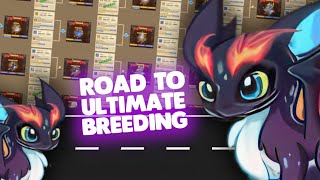 50 BREEDINGS and some TIPS in Legend of Mushroom [upl. by Acila]