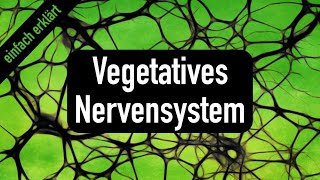 Vorlesung 5 Vegetatives Nervensystem [upl. by Robenia654]