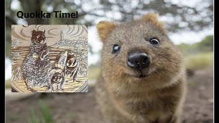 Quokka 2024 Perth Mint 1oz Silver Coin [upl. by Peregrine333]