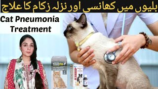 Types of Cat Pneumonia and How to Treat It at Home Cat flu persian cat fever  DrHira Saeed [upl. by Queenie]