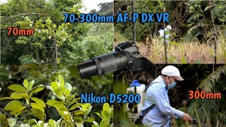 Video Nikon D5200 AFP 70300mm DX VR ED Zoom Lens [upl. by Kcirddahc591]