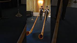 Swiss Alphorn Players  Switzerland shorts [upl. by Ardnahs]