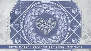 WTHI090  David Hasert Beatamines  Harmony Sweet Erdi Irmak Remix [upl. by Hako]