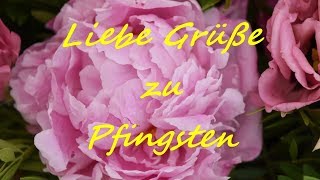 Liebe Grüße zu Pfingsten  Pfingstgrüße zum Versenden [upl. by Enovahs43]