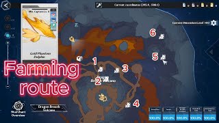 Gold Phantom Dolphin Farming Route [upl. by Nugesulo307]