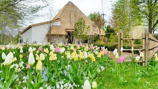 Floriade Expo 2022 AmsterdamAlmere [upl. by Bobker]