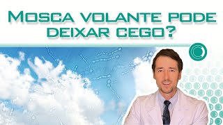 Mosca volante pode deixar cego [upl. by Eillek]