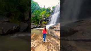 shorts  Yercaud  Hidden Waterfall  Nallur Falls  yercaudhills tamilnadu hiddengem salem [upl. by Esineg606]