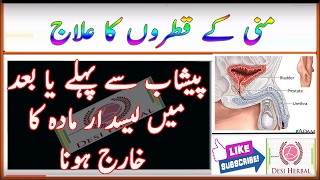 Mani Kay Qatron Ka ilaj  Ikhtilam Ka Sasta Aur Asan ilaj  Health Tips in Urdu  Jaryan Ka ilaj [upl. by Mendez]