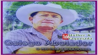 GALEGO ABOIADOR  O MELHOR DA VAQUEJADA [upl. by Dania]