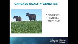 Ceri Lewis Beef genetics management amp passion [upl. by Nylecoj]