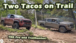 Tacoma TRD Pro vs Trailhunter – Impressions Offroading and Packaging [upl. by Eecak]