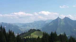 Swiss cows and cowbells in Gruyères Switzerland [upl. by Cordeelia]