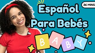 Spanish For Babies  Español Para Bebés  Learn To Talk  MsRamos [upl. by Etan]