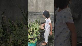 Mere desh ki dharti song plants youtubeshorts shorts ytshorts ARfunwithplay [upl. by Assele]