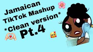 Jamaican tik tok mashup 100 clean 🧼 [upl. by Asusej]