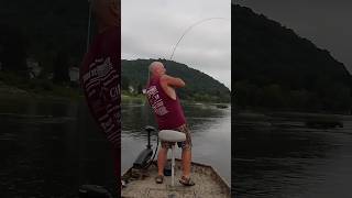 ROCK SOLID fish catch 😂😂 spinnerbait skinny susquehannariver [upl. by Loralie90]