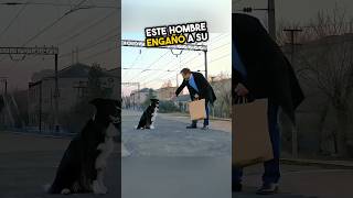 Él dejó a su perro por un nuevo trabajo pero luego🥺 [upl. by Assetnoc909]