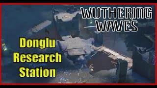 How to Solve West of Donglu Research Station Puzzle Guide  Wuthering Waves [upl. by Kacey518]