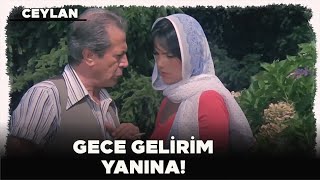 Ceylan Türk Filmi  Ağa Hizmetçiye Sulanıyor [upl. by Warrick]