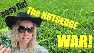 Easy way to get rid of NUTSEDGE nutgrass amp zeon zoysia update [upl. by Caldwell419]