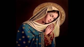 Daily Mass and Rosary on Wednesday October 9 2024 [upl. by Ariad]