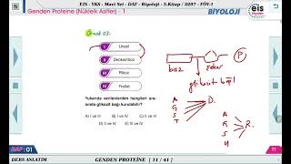 Mavi Set Biyoloji 3  Genden Proteine Nükleik Asitler  1🔬 [upl. by Walcott]