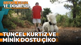 Tuncel Kurtiz ve Köpeği Çiko Dağ Gezisinde  NTV Belgesel tuncelkurtizvedostları [upl. by Reiser195]